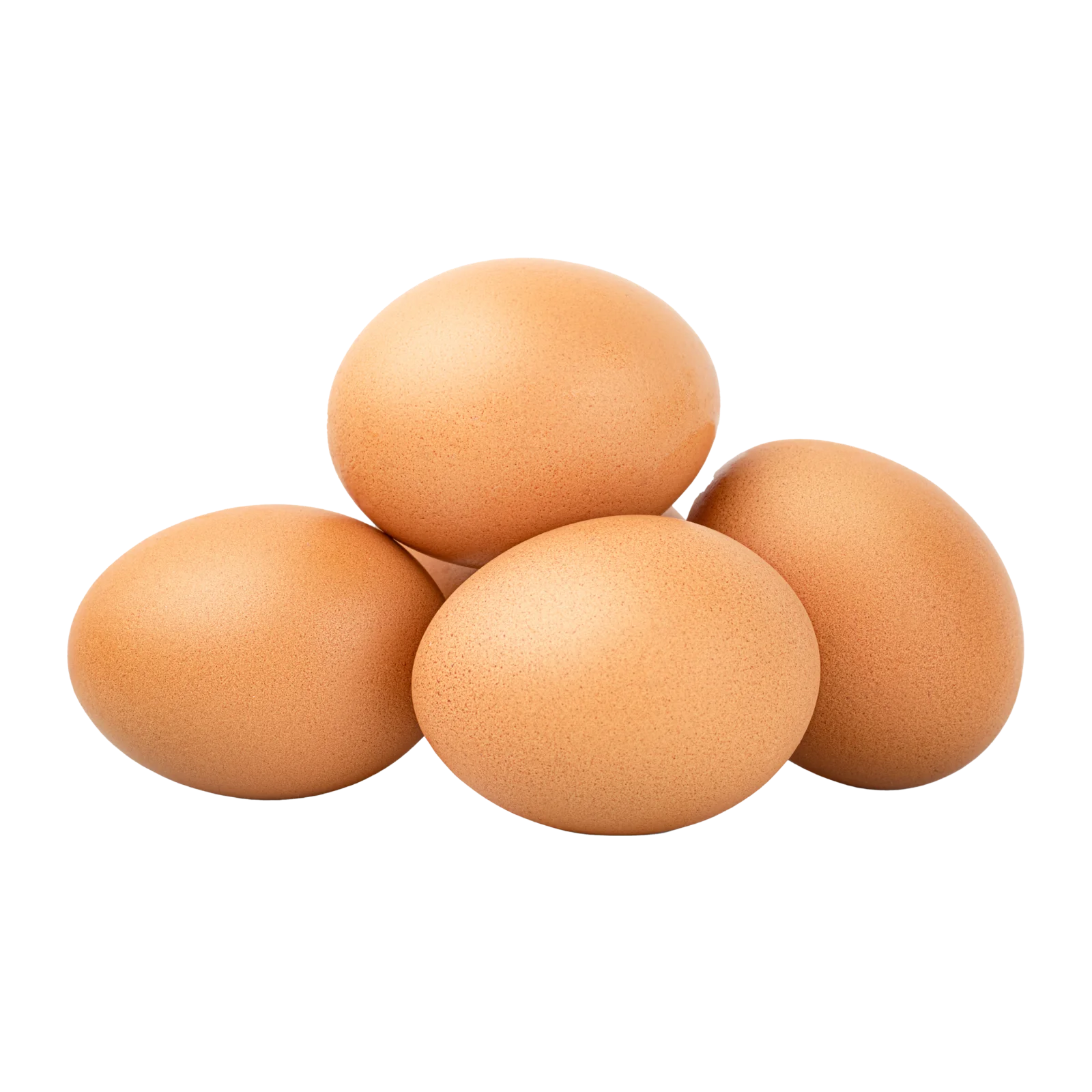 Eieren